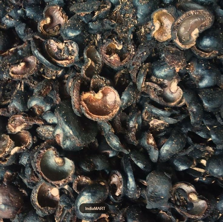 Sustainable Coke Alternative From Cashew Waste